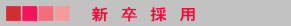新卒採用